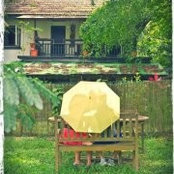 Jaysen Pang's photo