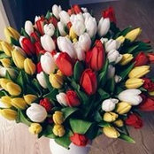 Foto di Наталья Бондаренко