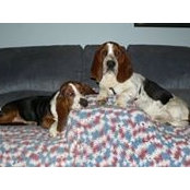 Patty Delker's photo