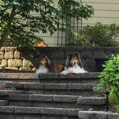 Judy Perduk's photo