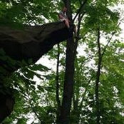 Aaron Tolson's photo