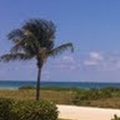 Kelly Parnell's photo