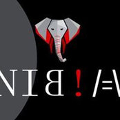 Nibia Vickers's photo