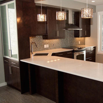 Transitional Espresso Kitchen