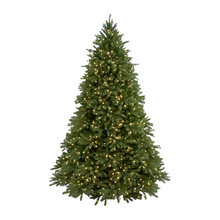 Christmas Trees