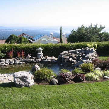 Water Features