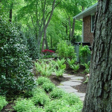 Woodland Paths (Long Island/NY):