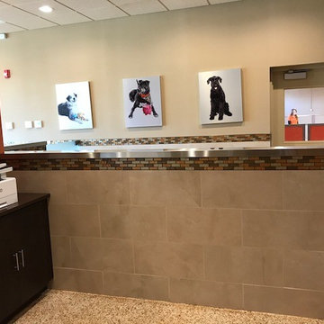 Happy Hounds Hotel and Day Spa