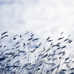 Scandinavian Light - Wallpaper