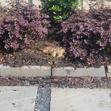 United Tree Pro Service LLC