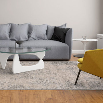 Alexander Area Rug - Light Gray