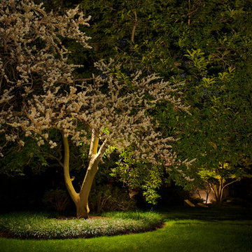 Traditional Estate - Rydal Landscape Lighting