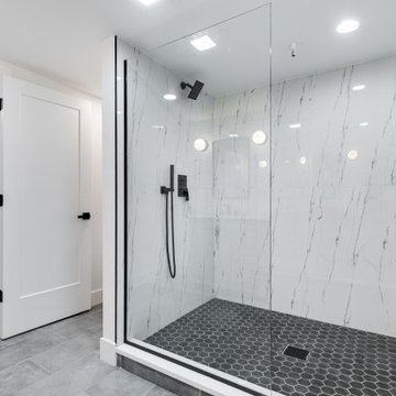 Basement Bathroom Addition- Chicago