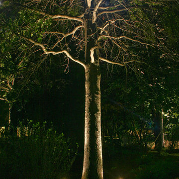 Lemont Landscape Lighting