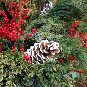 Seasonal Display