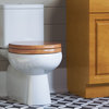 Dalton Round Toilet Seat, Concealed Screws, Honey Oak Finish