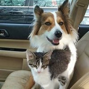 Suzan Jervey's photo