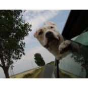 Foto von Ruxi Ruxy