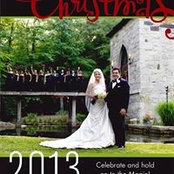 Lynn Lyons's photo