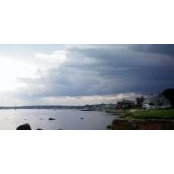 Fern Daly's photo