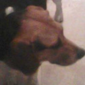 Joan Caseys foto