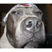 Brad Adelsky's photo
