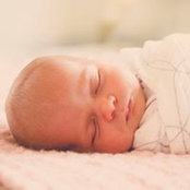 Sara Fox's photo