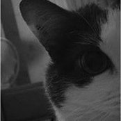 Stephanie Crabtree's photo