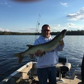Wayne Kruegers billede