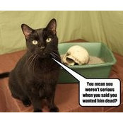 Julie Conway's photo
