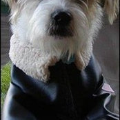 Scott Kuhn's photo