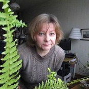 Foto von Elena Tsyban