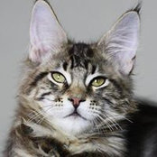 Jennifer Elbcoons's photo