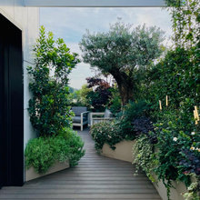 Interesting decks and patios