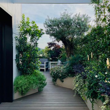 Casa Alta