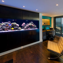 Inwall Aquarium