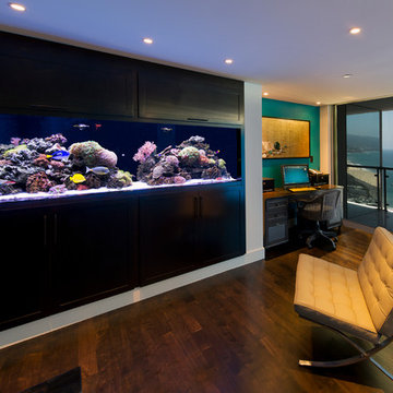 Ocean View Serenity - 300 gallons In-Wall Aquarium