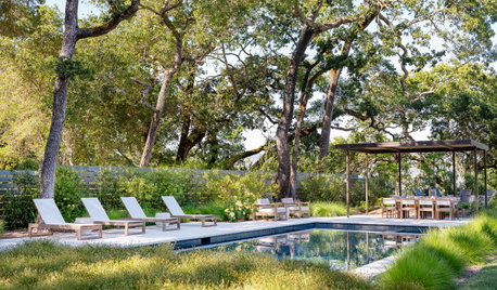 14 Pools and Hot Tubs That Blend Beautifully Into the Landscape