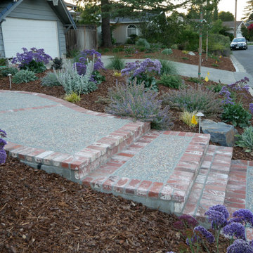 Brick Edged steps and exposed aggregate