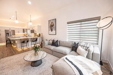 Living room - modern living room idea in Other