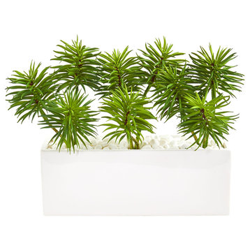 Spiky Succulent Garden Artificial Plant in White Ceramic Vase
