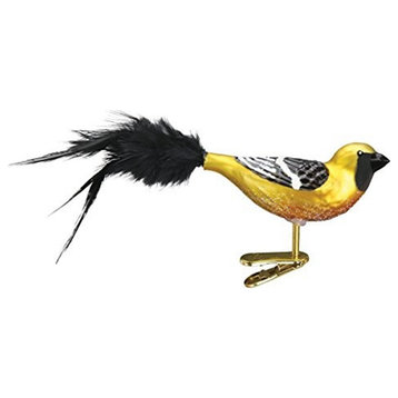 Old World Christmas Bird Watcher Collection- Glass Blown Ornament: Hooded Oriole