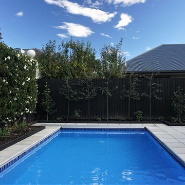 Fibreglass Swimming Pools Christchurch