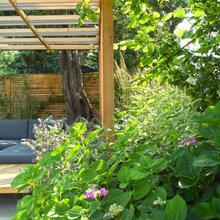 Garden Ideas