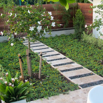 Front yard landscape South Florida