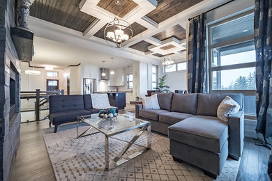 Inspiration for a transitional living room remodel in Other