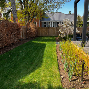Project Alfred - Garden Cleanup