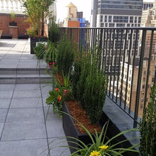 terrace