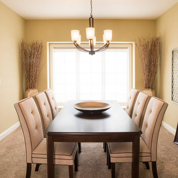 Tremendous Transitional