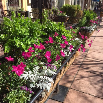 Restaurant Patio Containers